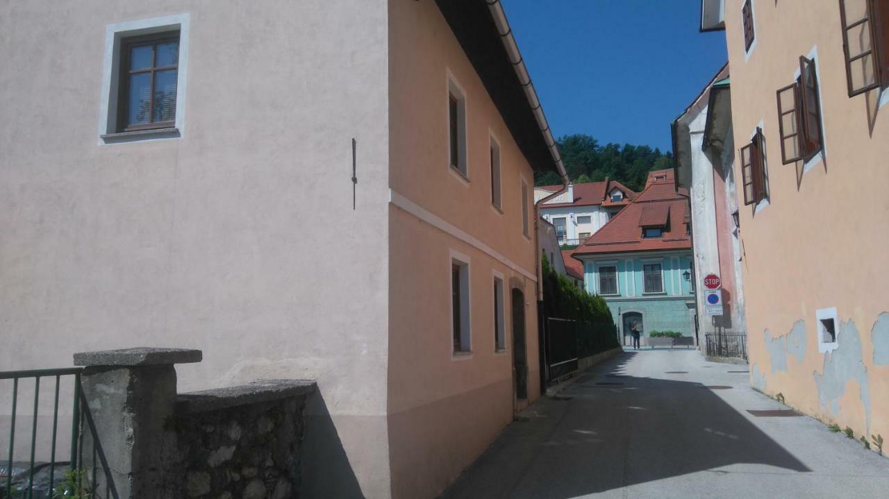Apartment Slavija Škofja Loka Dış mekan fotoğraf
